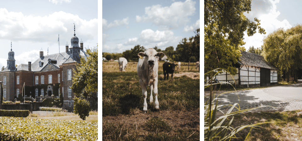 Romeinse wegen middeleeuwse kastelen en tijdloze natuur