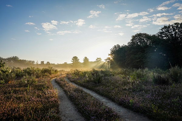 Sonnenaufgang im Naturschutzgebiet The Leudal, einer der Big Five