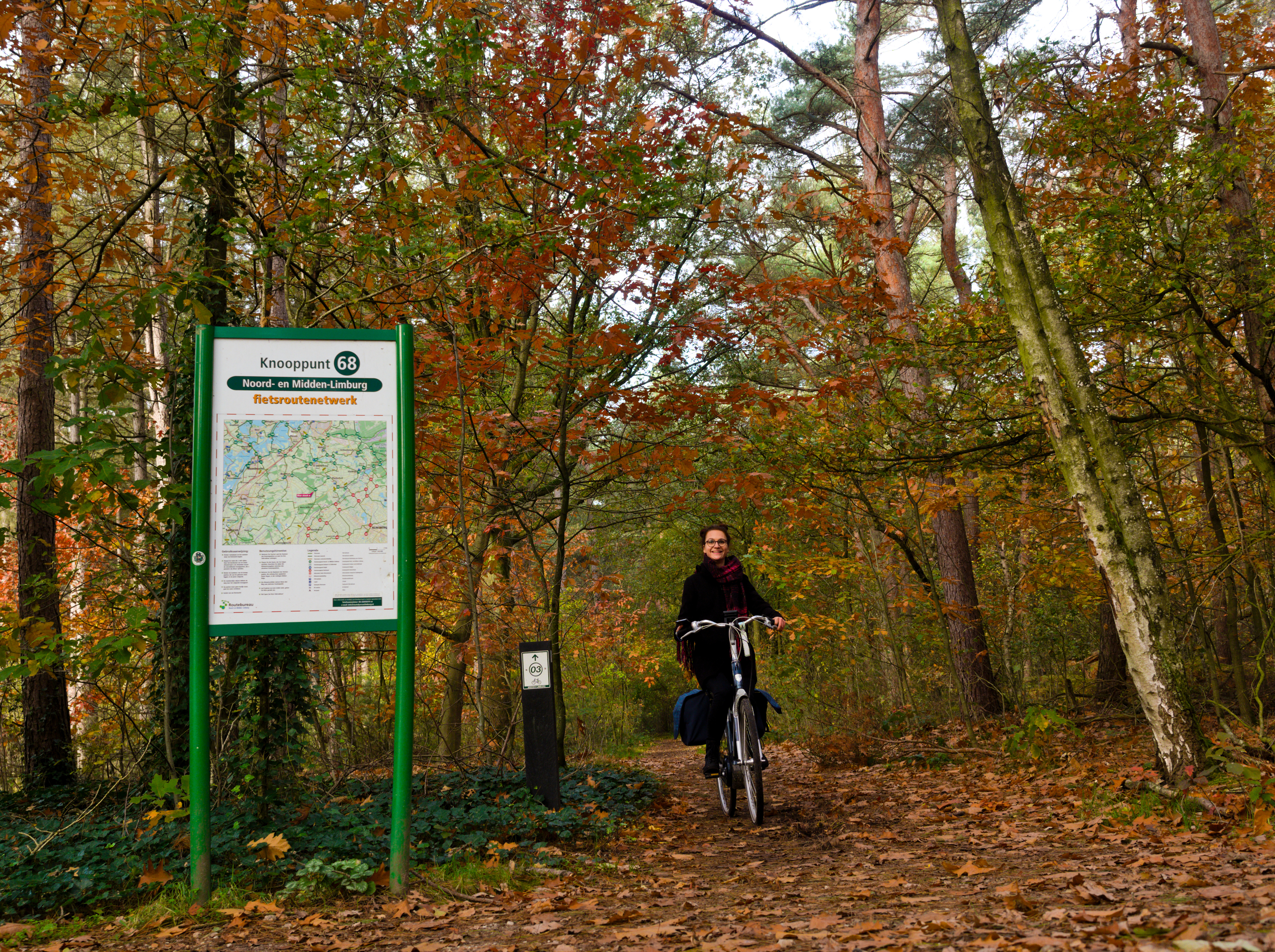 Eine Frau fährt mit dem Fahrrad auf einem Waldweg. Neben ihr ist ein Knotenpunkt des Fahrradroutennetzes zu sehen.