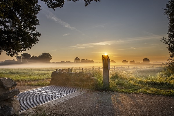 Morgennebel im Maaspark Ooijen-Wanssum