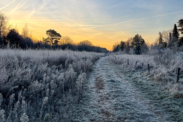 Die Sonne geht über dem vereisten Nationalpark de Meinweg auf