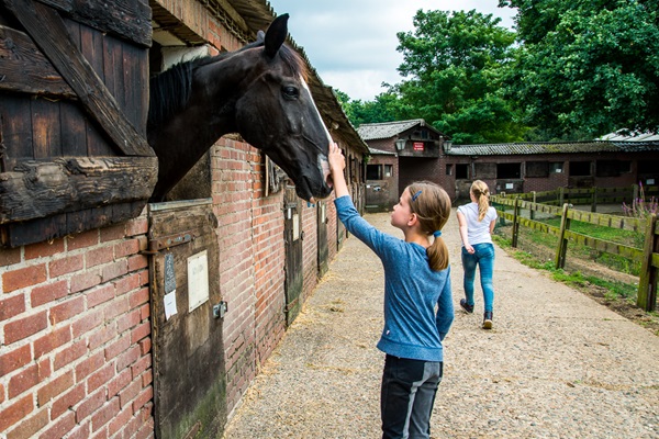 Meisje aait een paard die in de stal staat bij Rijstal Venhof terwijl op de achtergrond een ander meisje wegloopt
