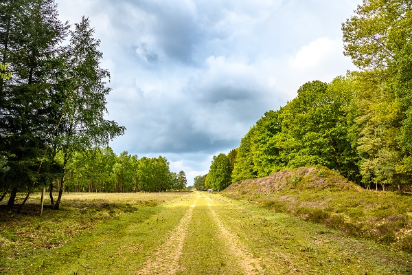 Ungepflasterter Weg durch das Naturschutzgebiet Maas-Swalm-Nette