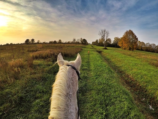 De ondergaande zon gezien vanaf de rug van een wit paard