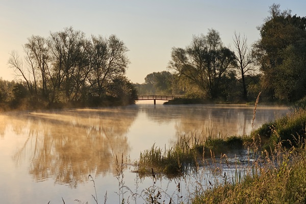 Ochtendnevel bij de brug in Rivierpark Maasvallei