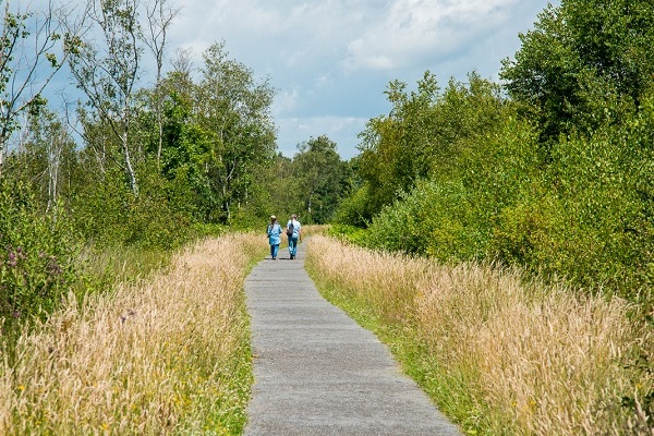 Wanderweg im Nationalpark De Groote Peel