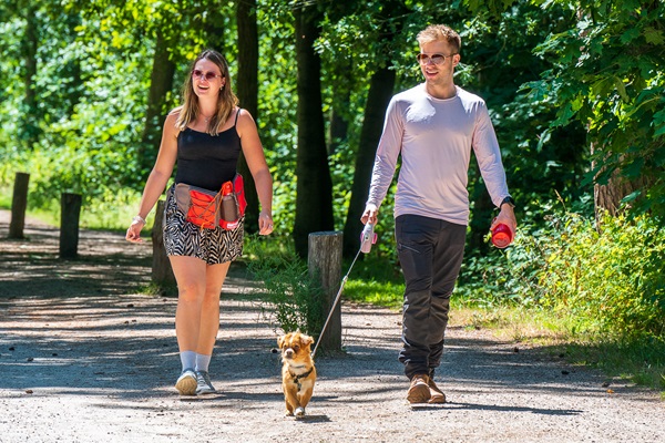 Couple is walking the dog through the nature and recreational area De IJzeren Man area