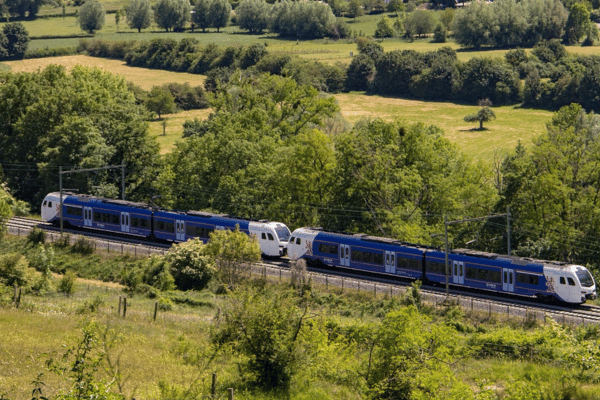 Arriva Trein Limburg