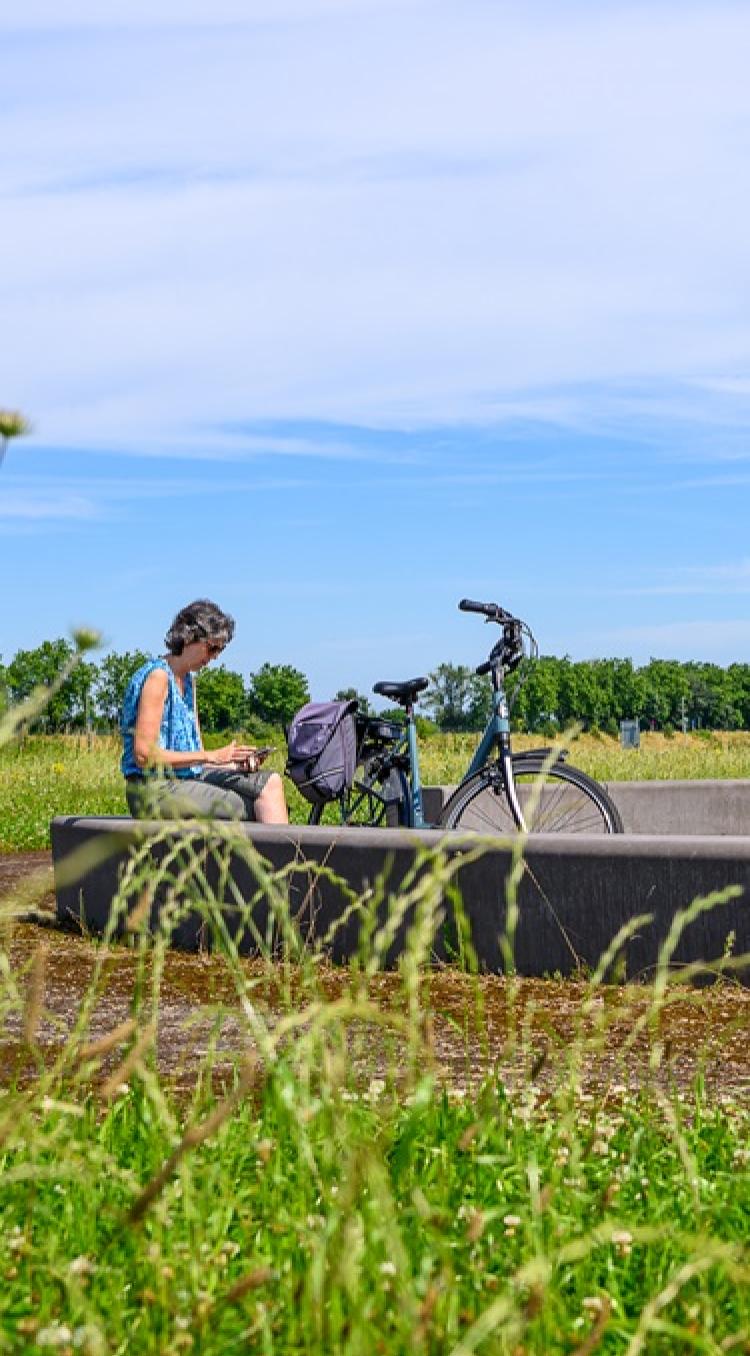 Vrouw met fiets rust uit bij een zitplek in een groen landschap met uitkijktoren op de achtergrond, onder een blauwe lucht in de gemeente Maasgouw