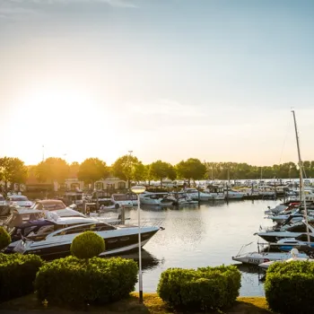Jachthaven vol boten bij zonsondergang, met verzorgde aanlegplaatsen en groene oevers. Een sfeervolle plek om aan te meren in Limburg.