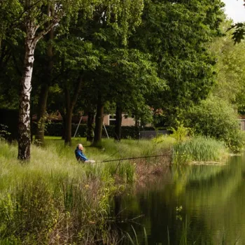 Vissers aan een rustige visvijver in Limburg, omringd door groen en bomen.