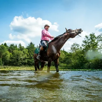 Man op een paard rijdt door ondiep water in een groene, bosrijke omgeving onder een deels bewolkte lucht.