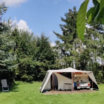 Kampeerplek op camping De Kaaiewaaier met ingerichte tent op een groene open plek, omringd door hoge dennenbomen.