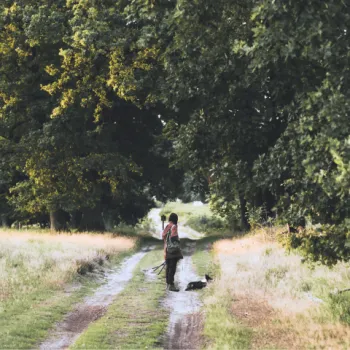 Wandelen Weert 