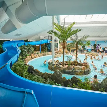 Binnenbad met palmbomen en stromend water bij het subtropisch zwemparadijs van Recreatiepark de Leistert.